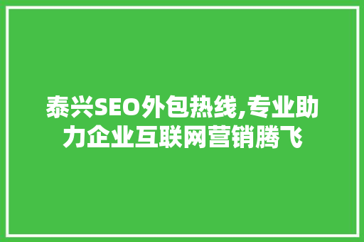 泰兴SEO外包热线,专业助力企业互联网营销腾飞
