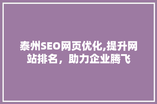 泰州SEO网页优化,提升网站排名，助力企业腾飞