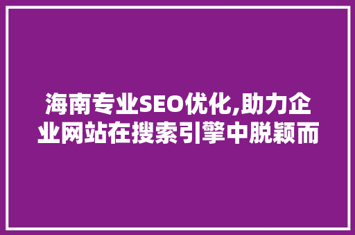 海南专业SEO优化,助力企业网站在搜索引擎中脱颖而出