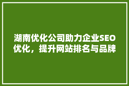 湖南优化公司助力企业SEO优化，提升网站排名与品牌影响力