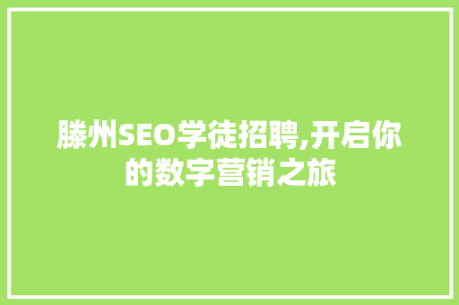 滕州SEO学徒招聘,开启你的数字营销之旅