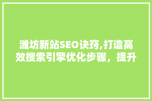 潍坊新站SEO诀窍,打造高效搜索引擎优化步骤，提升网站排名
