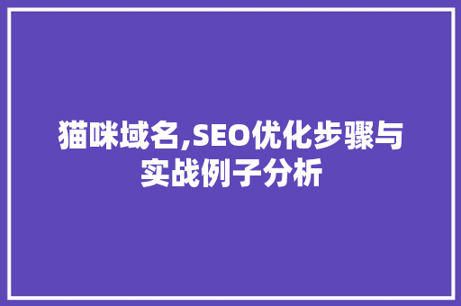 猫咪域名,SEO优化步骤与实战例子分析