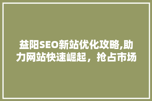 益阳SEO新站优化攻略,助力网站快速崛起，抢占市场先机