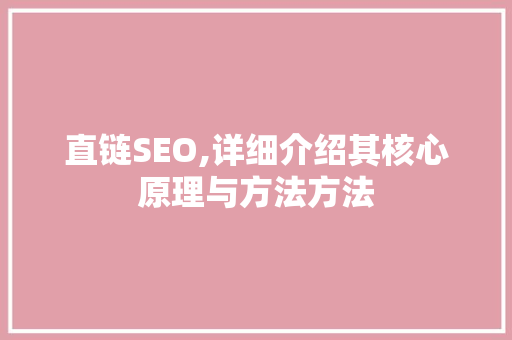 直链SEO,详细介绍其核心原理与方法方法