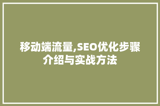 移动端流量,SEO优化步骤介绍与实战方法