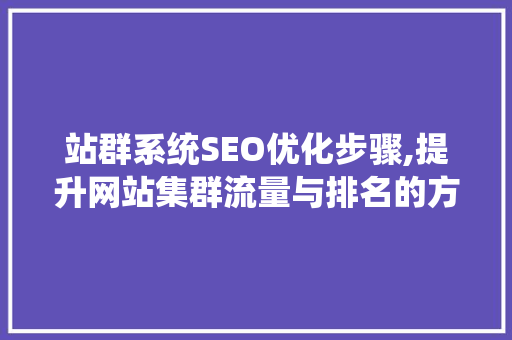 站群系统SEO优化步骤,提升网站集群流量与排名的方法