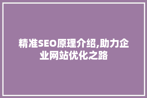 精准SEO原理介绍,助力企业网站优化之路
