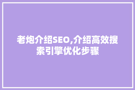 老炮介绍SEO,介绍高效搜索引擎优化步骤