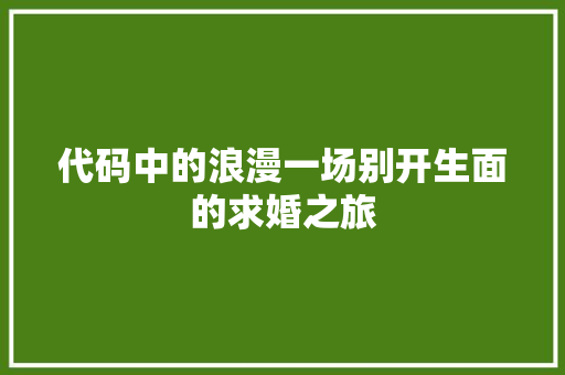 代码中的浪漫一场别开生面的求婚之旅
