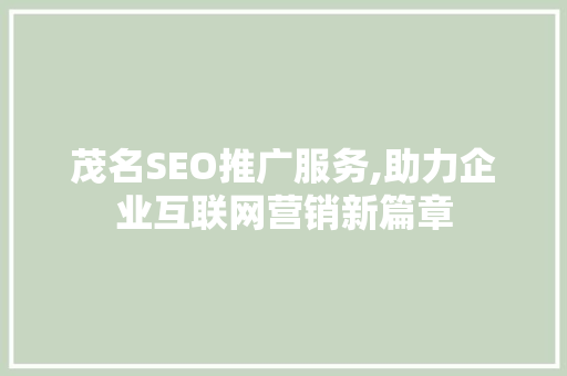 茂名SEO推广服务,助力企业互联网营销新篇章