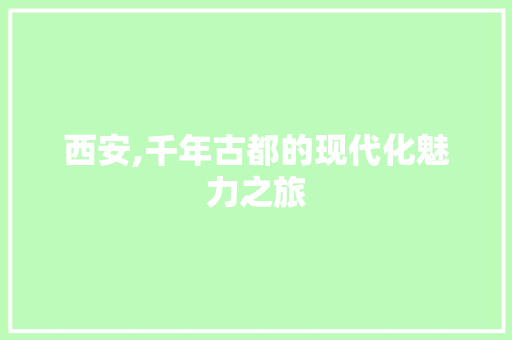 西安,千年古都的现代化魅力之旅