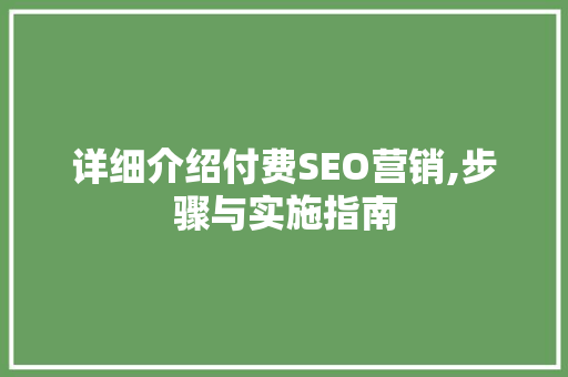 详细介绍付费SEO营销,步骤与实施指南