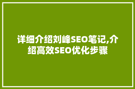 详细介绍刘峰SEO笔记,介绍高效SEO优化步骤