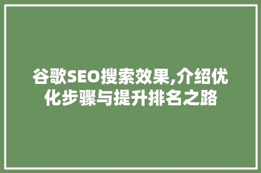 谷歌SEO搜索效果,介绍优化步骤与提升排名之路