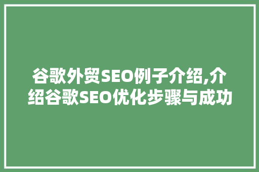 谷歌外贸SEO例子介绍,介绍谷歌SEO优化步骤与成功之路