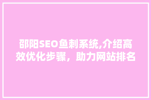 邵阳SEO鱼刺系统,介绍高效优化步骤，助力网站排名跃升
