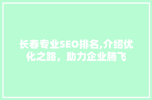 长春专业SEO排名,介绍优化之路，助力企业腾飞