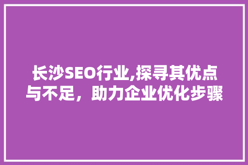 长沙SEO行业,探寻其优点与不足，助力企业优化步骤