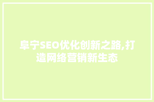 阜宁SEO优化创新之路,打造网络营销新生态
