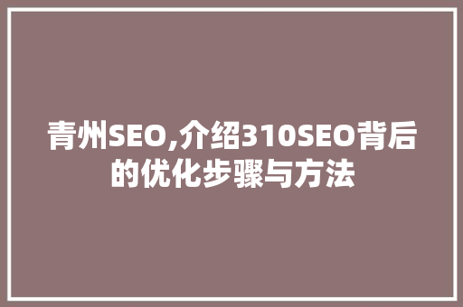 青州SEO,介绍310SEO背后的优化步骤与方法