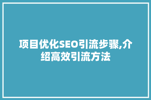 项目优化SEO引流步骤,介绍高效引流方法