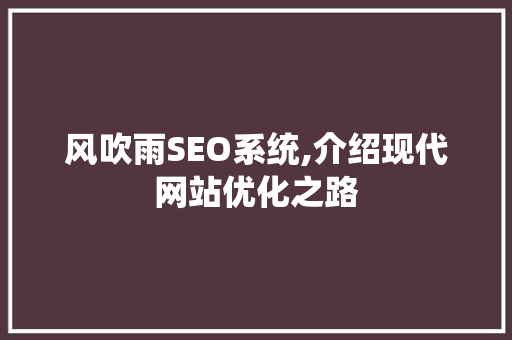 风吹雨SEO系统,介绍现代网站优化之路