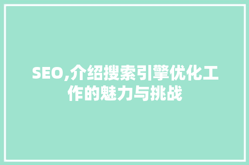 SEO,介绍搜索引擎优化工作的魅力与挑战