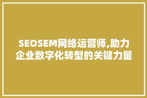 SEOSEM网络运营师,助力企业数字化转型的关键力量