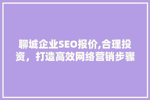 聊城企业SEO报价,合理投资，打造高效网络营销步骤