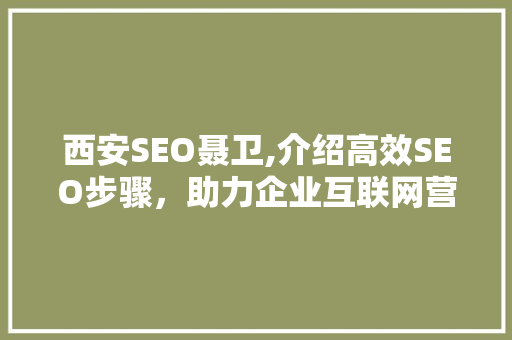 西安SEO聂卫,介绍高效SEO步骤，助力企业互联网营销新篇章