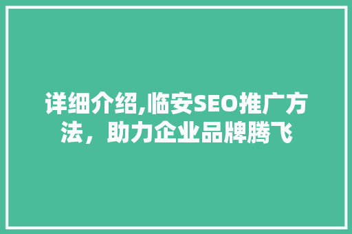 详细介绍,临安SEO推广方法，助力企业品牌腾飞
