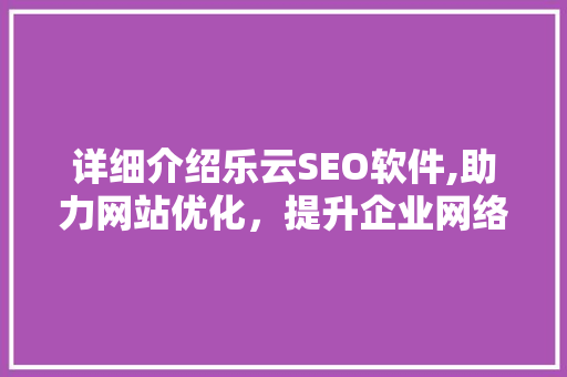 详细介绍乐云SEO软件,助力网站优化，提升企业网络竞争力