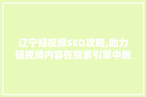 辽宁短视频SEO攻略,助力短视频内容在搜索引擎中脱颖而出