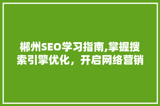 郴州SEO学习指南,掌握搜索引擎优化，开启网络营销新篇章