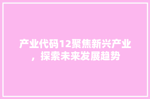 产业代码12聚焦新兴产业，探索未来发展趋势