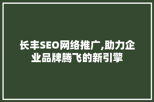 长丰SEO网络推广,助力企业品牌腾飞的新引擎