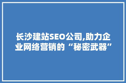 长沙建站SEO公司,助力企业网络营销的“秘密武器”