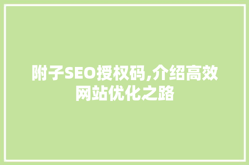 附子SEO授权码,介绍高效网站优化之路