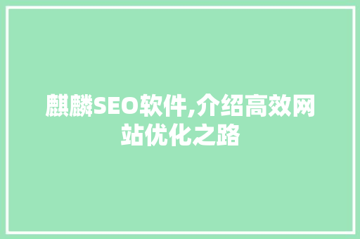 麒麟SEO软件,介绍高效网站优化之路