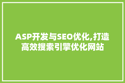 ASP开发与SEO优化,打造高效搜索引擎优化网站