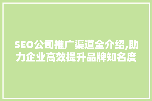 SEO公司推广渠道全介绍,助力企业高效提升品牌知名度