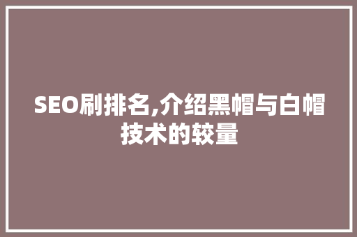 SEO刷排名,介绍黑帽与白帽技术的较量