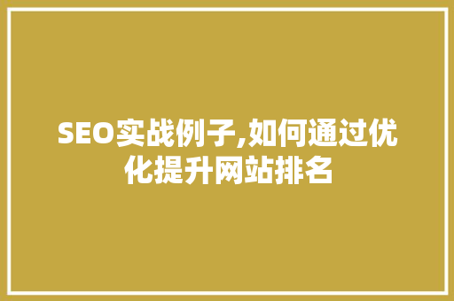 SEO实战例子,如何通过优化提升网站排名