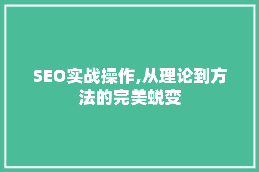 SEO实战操作,从理论到方法的完美蜕变
