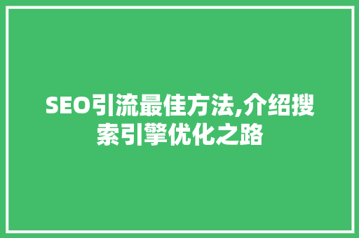 SEO引流最佳方法,介绍搜索引擎优化之路