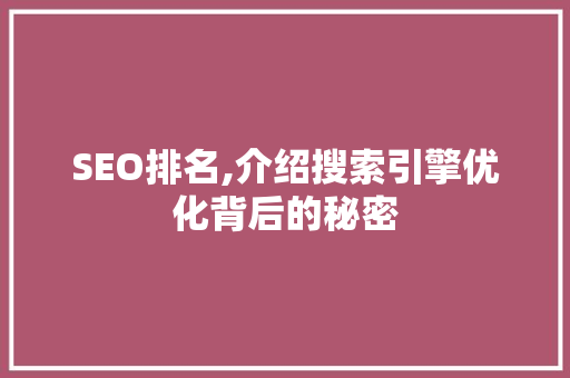 SEO排名,介绍搜索引擎优化背后的秘密  第1张