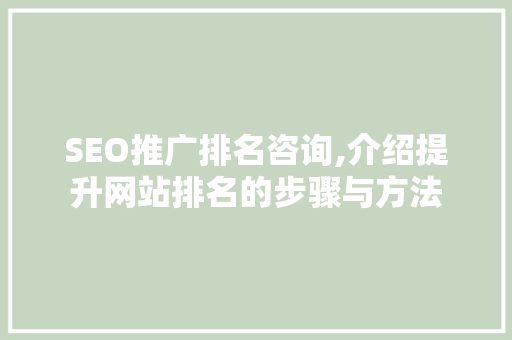 SEO推广排名咨询,介绍提升网站排名的步骤与方法