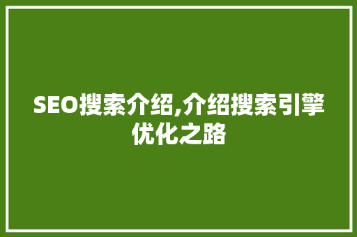 SEO搜索介绍,介绍搜索引擎优化之路