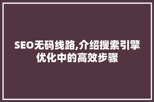 SEO无码线路,介绍搜索引擎优化中的高效步骤